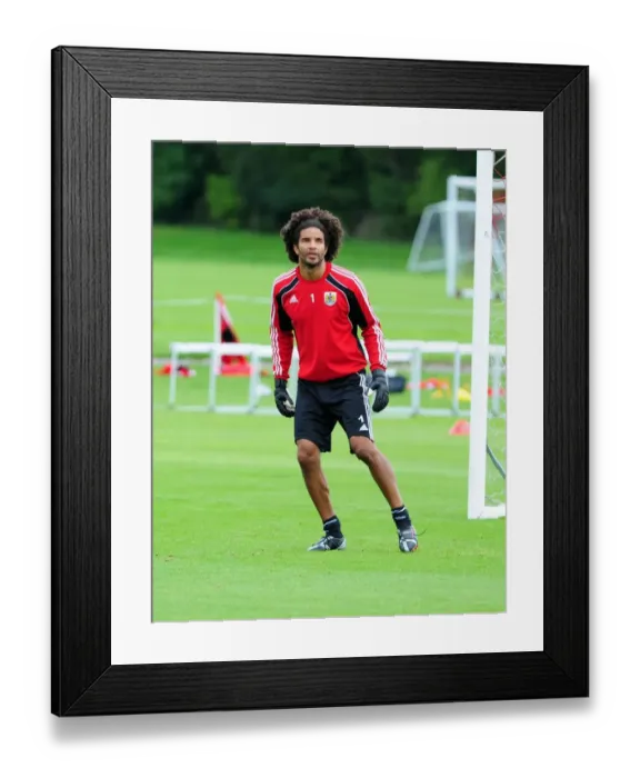 Framed Print : David James Begins New Journey at Bristol City: First Training Session Framed Print : David James Begins New Journey at Bristol City: First Training Session