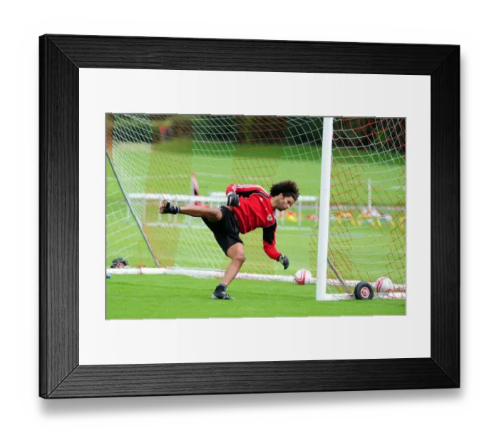 Framed Print : David James Begins New Journey at Bristol City: First Training Session Framed Print : David James Begins New Journey at Bristol City: First Training Session