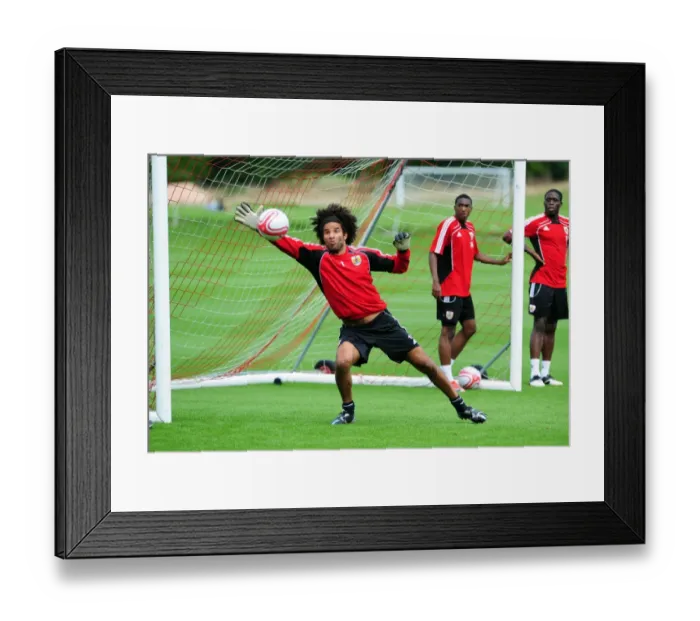 Framed Print : David James Begins New Journey at Bristol City: First Training Session Framed Print : David James Begins New Journey at Bristol City: First Training Session