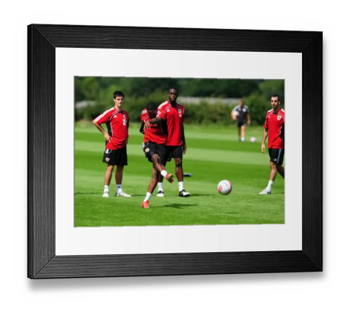 Framed Print : David James Joins Bristol City: First Training Session - Season 10-11 (New Signing) Framed Print : David James Joins Bristol City: First Training Session - Season 10-11 (New Signing)