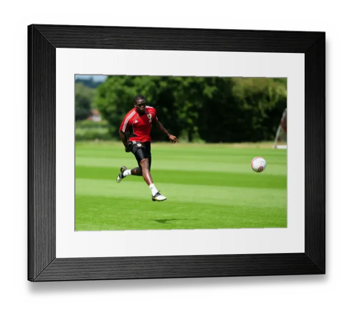 Framed Print : David James Joins Bristol City: First Training Session - Season 10-11 (New Signing) Framed Print : David James Joins Bristol City: First Training Session - Season 10-11 (New Signing)