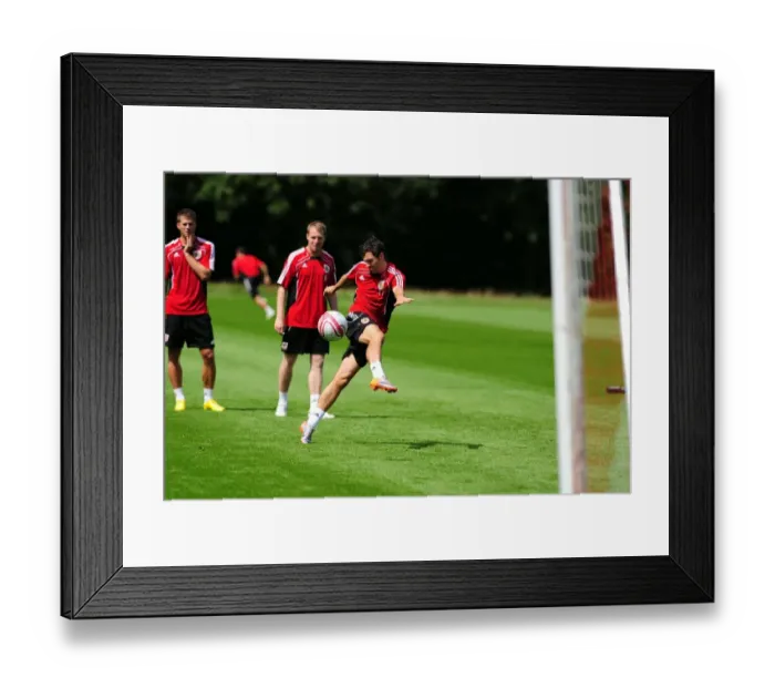Framed Print : David James Joins Bristol City: First Training Session - Season 10-11 (New Signing)
