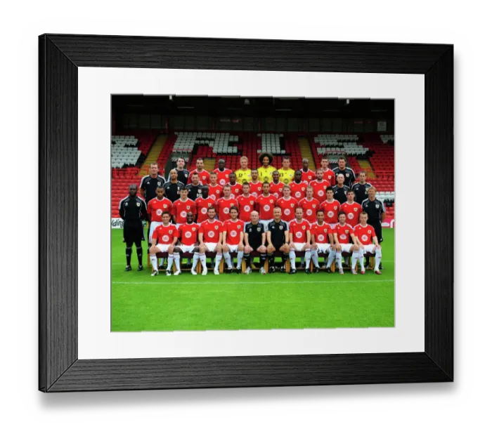 Framed Print : Bristol City Football Club: The 2016-2017 Squad and Management Team