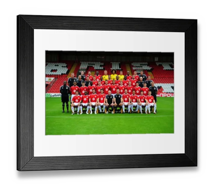 Framed Print : Bristol City Football Club 2016-2017: The Squad and Management Team
