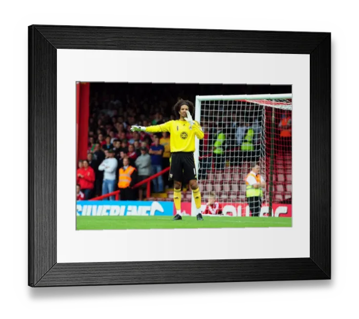 Framed Print : Bristol City v Millwall Framed Print : Bristol City v Millwall