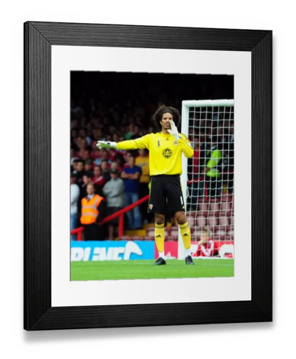 Framed Print : Bristol City vs Millwall: A Football Showdown - Season 10-11