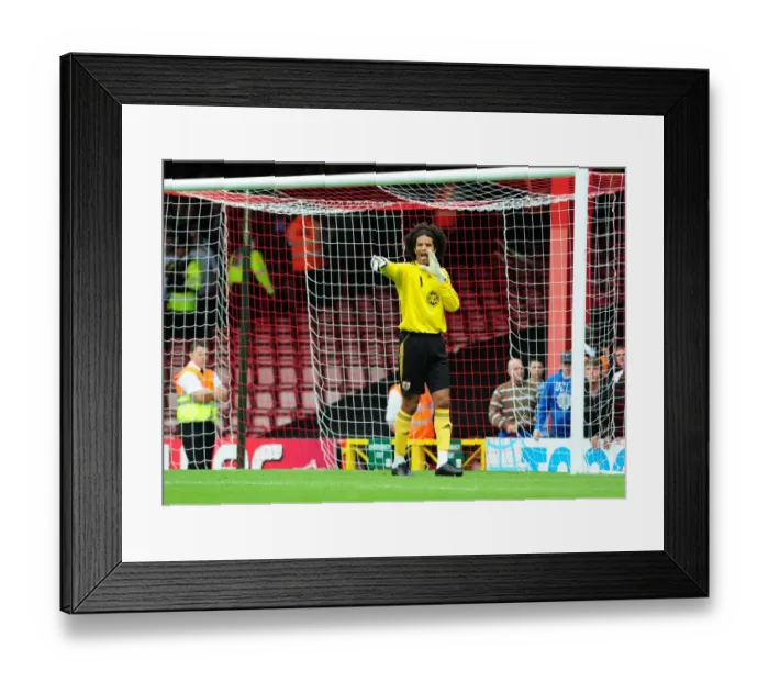 Framed Print : Bristol City vs Millwall: A Season 10-11 Football Showdown Framed Print : Bristol City vs Millwall: A Season 10-11 Football Showdown