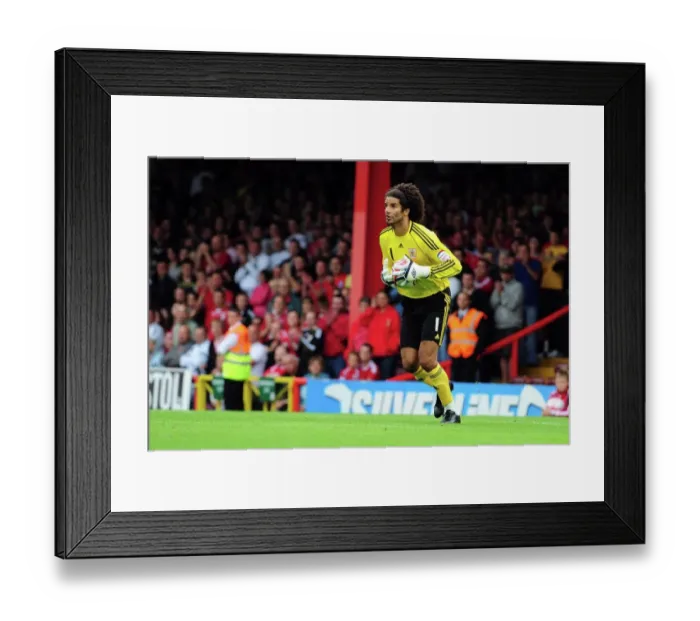 Framed Print : The Exciting Showdown: Bristol City vs. Millwall - Season 10-11 Framed Print : The Exciting Showdown: Bristol City vs. Millwall - Season 10-11