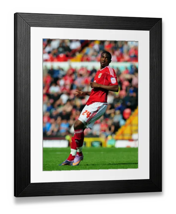 Framed Print : Bristol City vs Millwall: A Season 10-11 Showdown Framed Print : Bristol City vs Millwall: A Season 10-11 Showdown