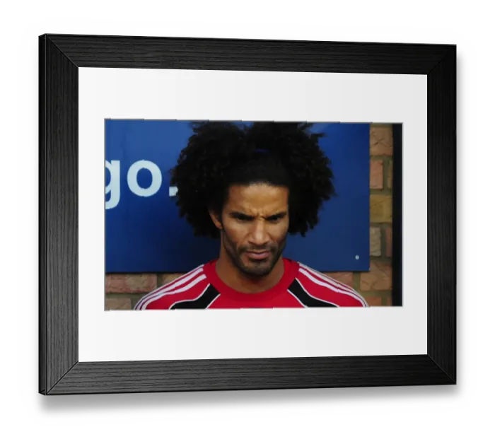 Framed Print : David James: Unforgettable Saves for Bristol City in Carling Cup Clash vs. Southend United (September 10, 2010) Framed Print : David James: Unforgettable Saves for Bristol City in Carling Cup Clash vs. Southend United (September 10, 2010)