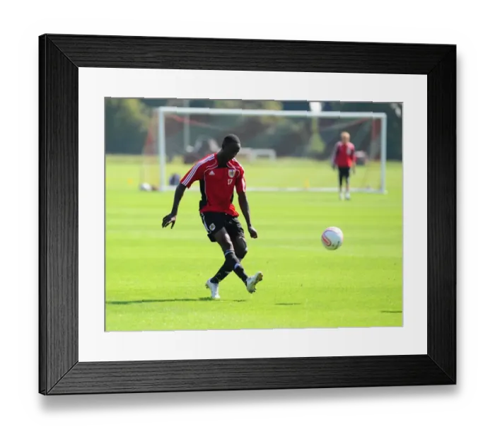 Framed Print : Bristol City First Team: Preparing for the 2010-11 Season - Training Session on September 2 Framed Print : Bristol City First Team: Preparing for the 2010-11 Season - Training Session on September 2