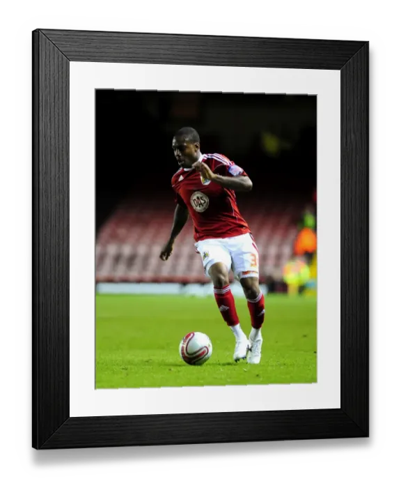 Framed Print : Bristol City v Watford Framed Print : Bristol City v Watford