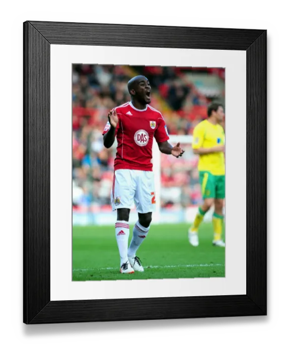 Framed Print : Clash of Titans: Bristol City vs Norwich City (Season 10-11)