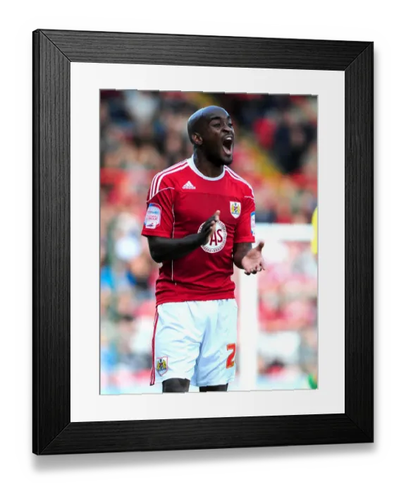 Framed Print : Bristol City vs Norwich City: A Football Rivalry - Season 10-11