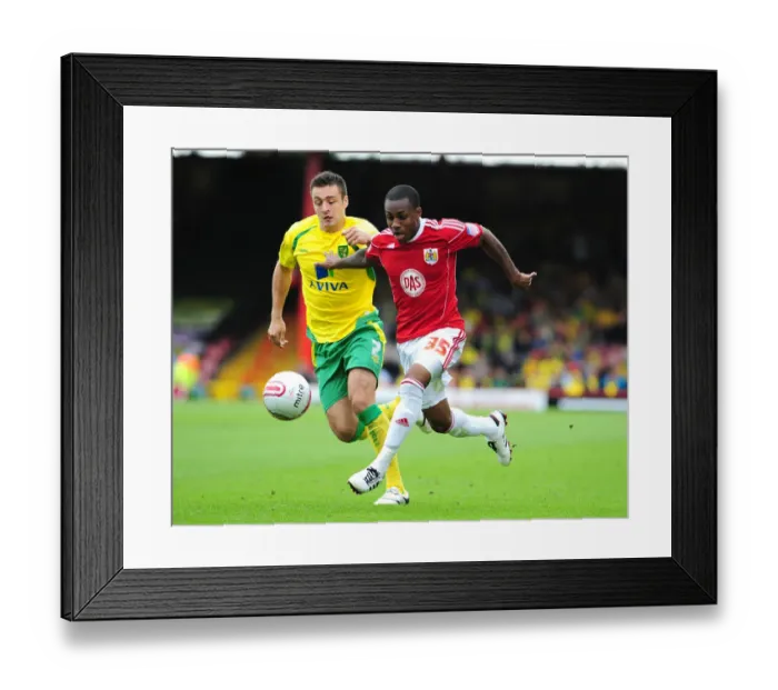 Framed Print : Bristol city v Norwich City Framed Print : Bristol city v Norwich City