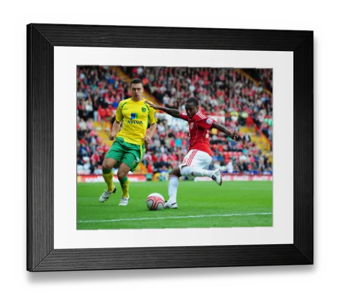 Framed Print : Bristol City vs Norwich City: A Football Rivalry - Season 10-11