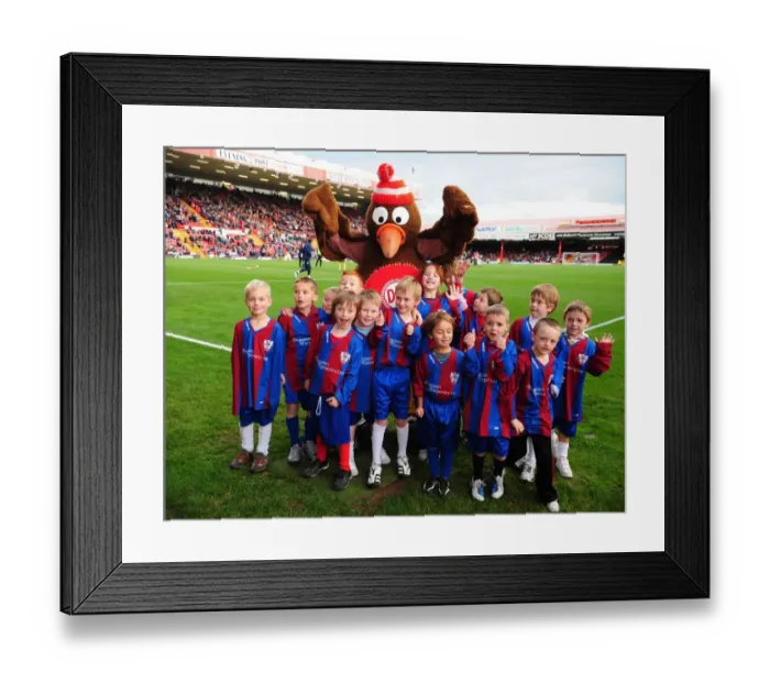 Framed Print : Bristol City vs Preston North End: A Football Rivalry - Season 10-11