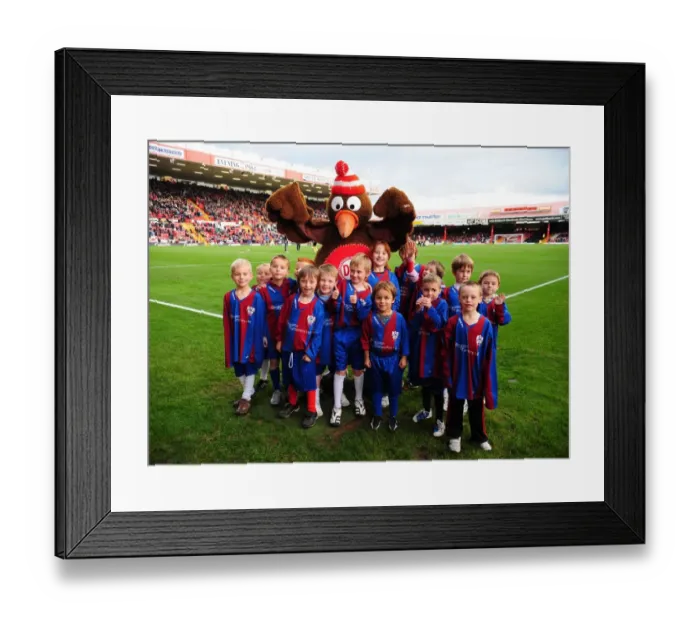 Framed Print : Football Rivalry: Bristol City vs Preston North End - Season 10-11