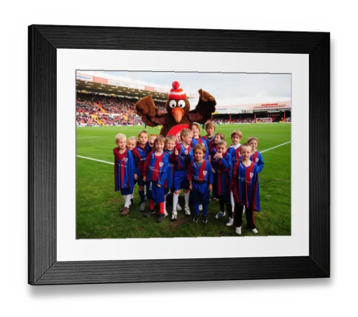 Framed Print : Bristol City vs Preston North End: A Football Rivalry - Season 10-11 Framed Print : Bristol City vs Preston North End: A Football Rivalry - Season 10-11