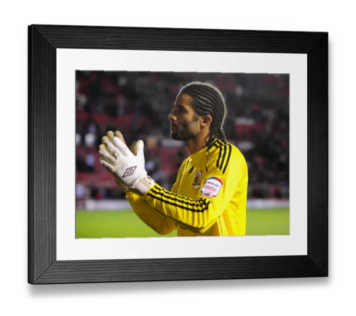 Framed Print : David James in Action: Bristol City vs Preston North End, Championship Football Match at Ashton Gate Stadium (06 / 11 / 2010)