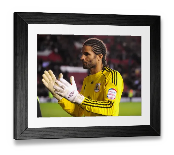 Framed Print : David James in Action: Championship Showdown - Bristol City vs Preston North End, 06-11-2010