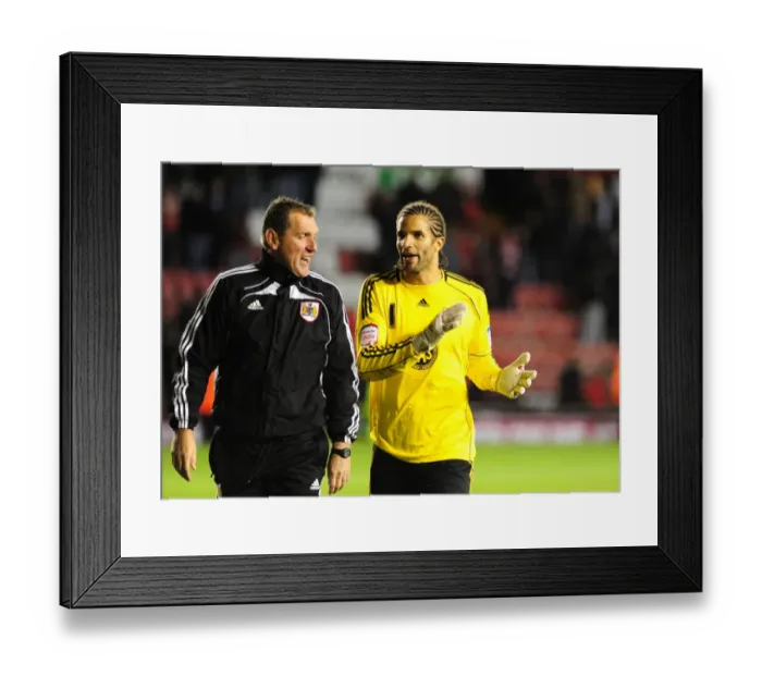 Framed Print : David James in Action: Bristol City vs. Reading, Npower Championship, Ashton Gate, 19 / 10 / 2010
