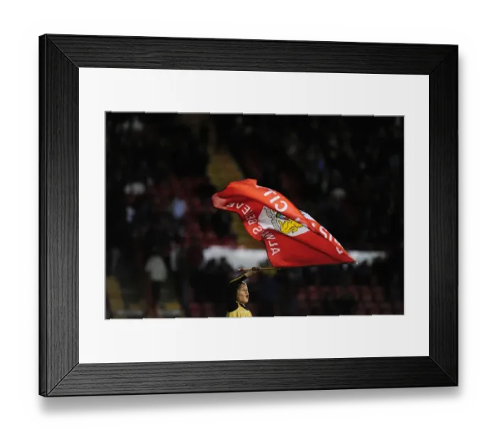 Framed Print : Intense Action: Bristol City vs. Reading, Npower Championship Clash at Ashton Gate (10 / 19 / 2010) Framed Print : Intense Action: Bristol City vs. Reading, Npower Championship Clash at Ashton Gate (10 / 19 / 2010)