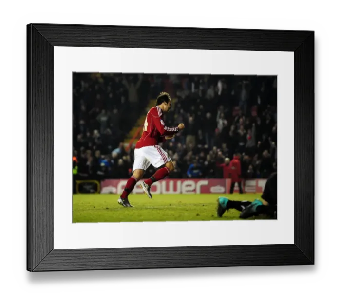 Framed Print : Last-Minute Drama: Brett Pitman's Penalty Secures Victory for Bristol City over Crystal Palace (December 28, 2010, Championship)