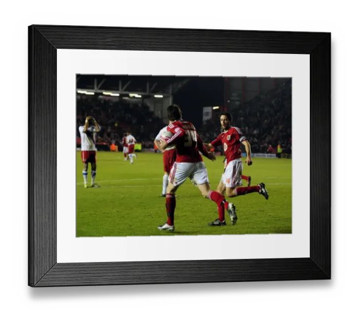 Framed Print : Last-Minute Thriller: Brett Pitman's Penalty Gives Bristol City Victory over Crystal Palace (December 2010) Framed Print : Last-Minute Thriller: Brett Pitman's Penalty Gives Bristol City Victory over Crystal Palace (December 2010)