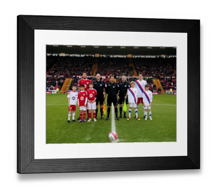 Framed Print : Bristol City v Crystal Palace Framed Print : Bristol City v Crystal Palace