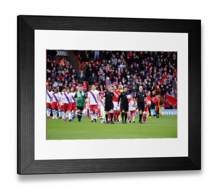 Framed Print : Bristol City vs. Crystal Palace: A Football Rivalry - Season 10-11