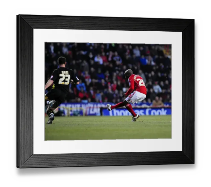 Framed Print : Bristol City's Jamal Campbell-Ryce Scores the Winning Goal Against Cardiff City in Championship Match at Ashton Gate Stadium (01 / 01 / 2011) Framed Print : Bristol City's Jamal Campbell-Ryce Scores the Winning Goal Against Cardiff City in Championship Match at Ashton Gate Stadium (01 / 01 / 2011)