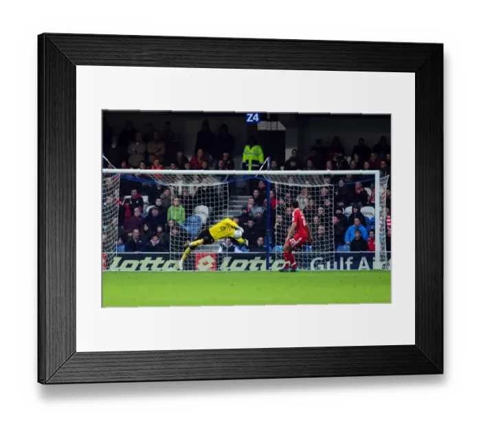 Framed Print : David James Saves: QPR vs. Bristol City, Championship Match, 03 / 01 / 2011