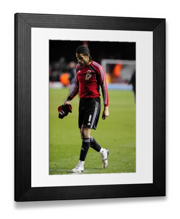 Framed Print : Bristol City's David James: Red-Carded Drama in Championship Clash (15 / 01 / 2011)