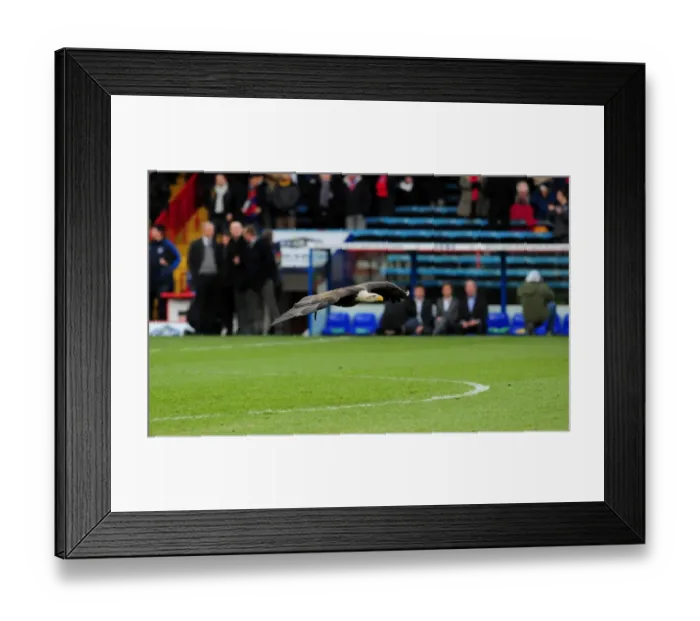 Framed Print : Crystal Palace vs. Bristol City: A Football Rivalry - Season 10-11 Framed Print : Crystal Palace vs. Bristol City: A Football Rivalry - Season 10-11