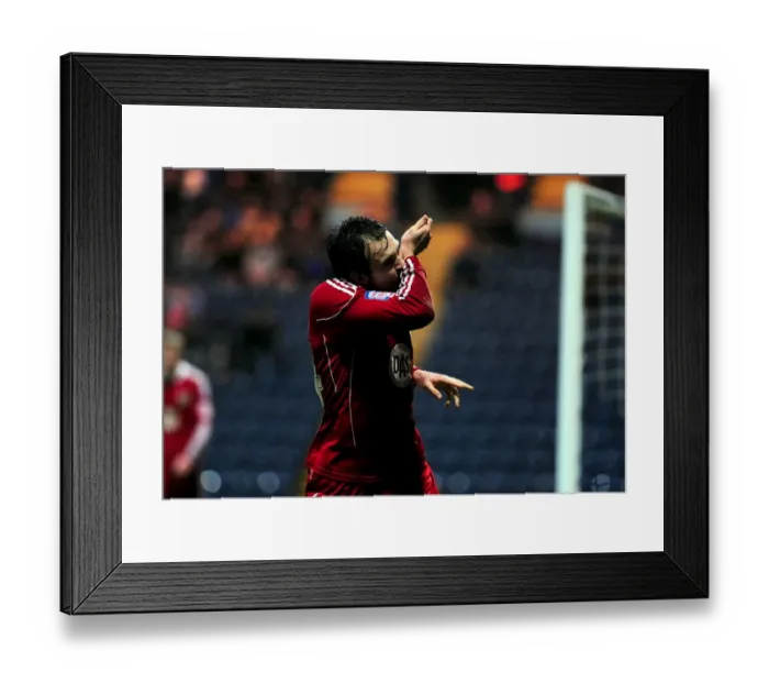 Framed Print : Brett Pitman's Euphoric Goal Celebration: Preston North End vs. Bristol City (Championship, 2011) Framed Print : Brett Pitman's Euphoric Goal Celebration: Preston North End vs. Bristol City (Championship, 2011)