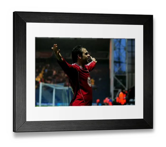 Framed Print : Brett Pitman's Euphoric Goal Celebration: Preston North End vs. Bristol City (Championship, 2011)