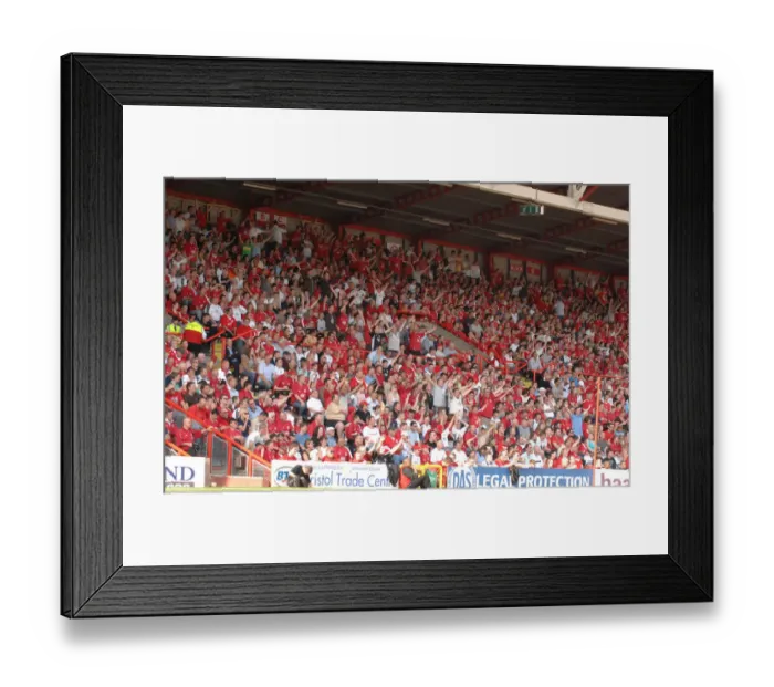 Framed Print : Bristol City First Team: A Year of Trials and Triumphs Framed Print : Bristol City First Team: A Year of Trials and Triumphs