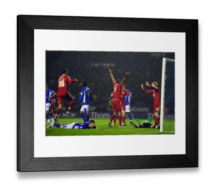 Framed Print : Dramatic Equalizer: Marvin Elliott's Thrilling Goal for Bristol City Against Leicester City in Championship Clash (18 / 02 / 2011)