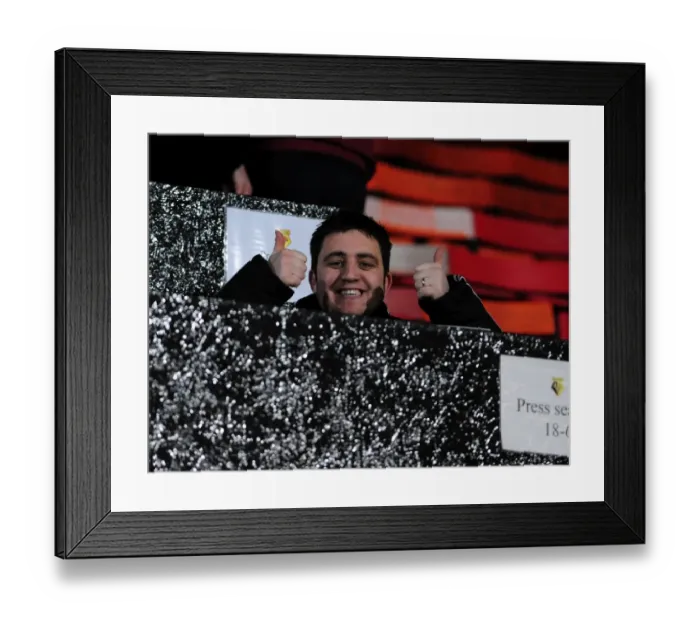 Framed Print : Watford v Bristol City Framed Print : Watford v Bristol City