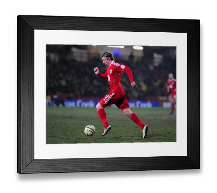 Framed Print : Bristol City vs. Watford: Championship Showdown (Season 10-11)