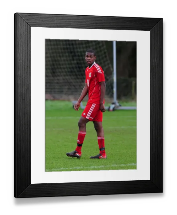 Framed Print : A Glimpse into the Future: Bristol City U18 vs. Tottenham Hotspur U18 - Season 10-11 Framed Print : A Glimpse into the Future: Bristol City U18 vs. Tottenham Hotspur U18 - Season 10-11
