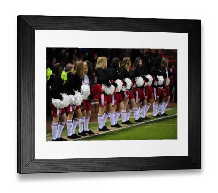 Framed Print : Bristol City vs Portsmouth: Season 10-11 Football Rivalry (Bristol City v Portsmouth) Framed Print : Bristol City vs Portsmouth: Season 10-11 Football Rivalry (Bristol City v Portsmouth)