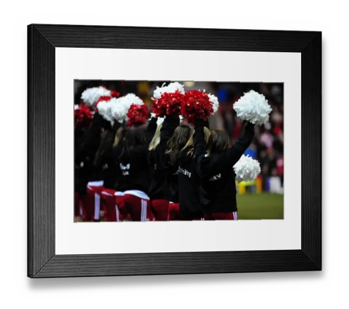 Framed Print : Bristol City v Portsmouth