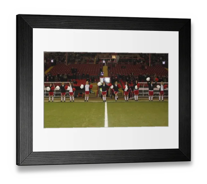 Framed Print : A Season to Remember: Bristol City vs Portsmouth Showdown (2010-11) Framed Print : A Season to Remember: Bristol City vs Portsmouth Showdown (2010-11)