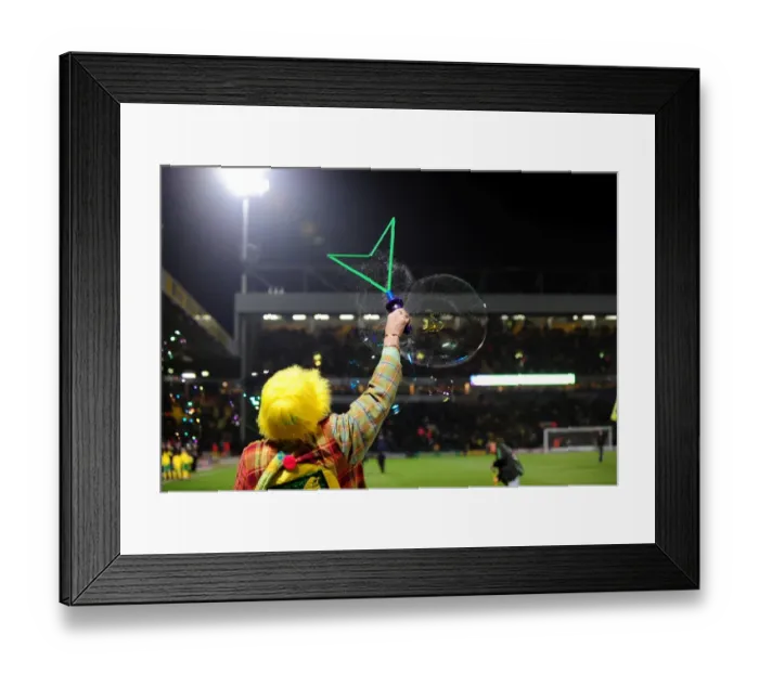 Framed Print : Norwich City v Bristol City