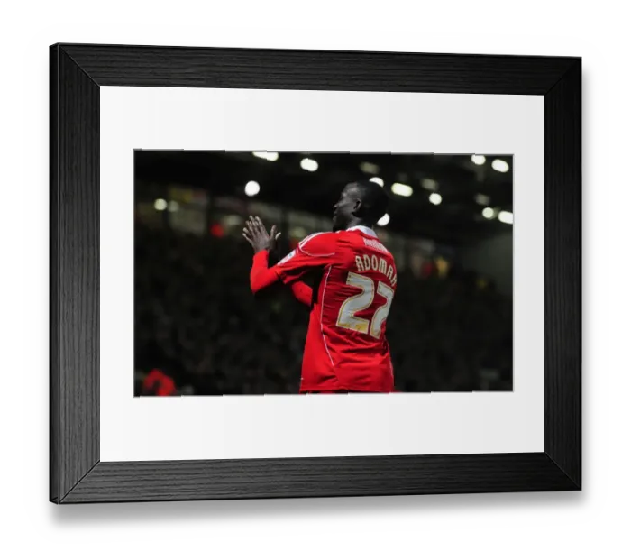 Framed Print : Adomah's Equalizer: Championship Showdown between Norwich City and Bristol City - 14 / 03 / 2011