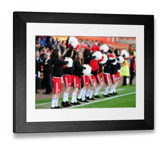 Framed Print : Championship Showdown: Bristol City vs Burnley - March 19, 2011 (Ashton Gate Stadium) Framed Print : Championship Showdown: Bristol City vs Burnley - March 19, 2011 (Ashton Gate Stadium)