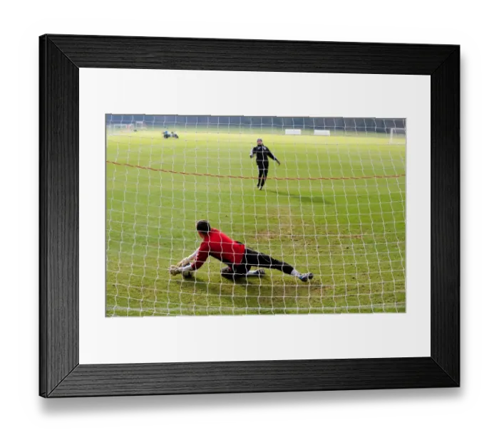 Framed Print : Bristol City First Team: Nurturing Football Talent at the Academy, 2010-11