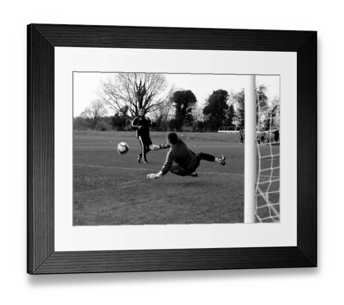 Framed Print : Bristol City First Team: Nurturing Talent at the Academy - Season 10-11 Framed Print : Bristol City First Team: Nurturing Talent at the Academy - Season 10-11